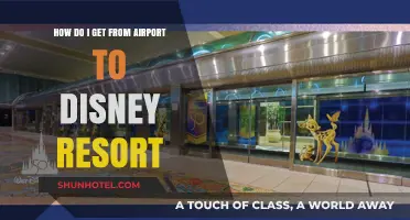Easiest Ways to Travel from Airport to Disney Resort Stress-Free