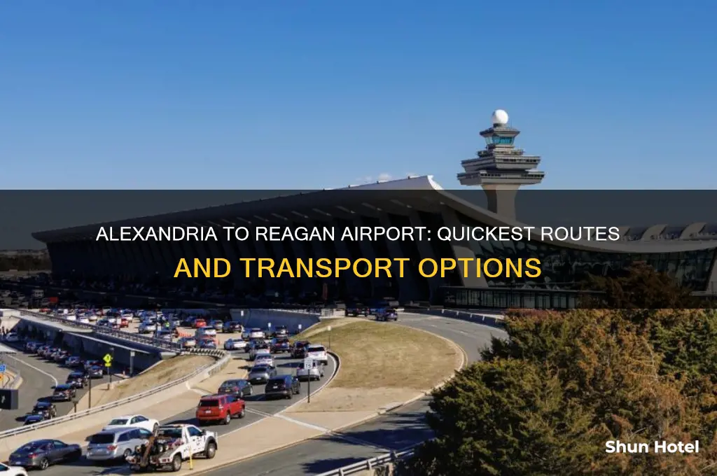 how do i get from alexandria to reagan international airport