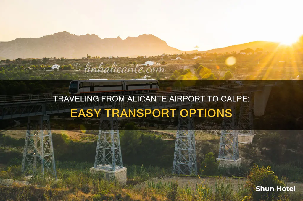 how do i get from alicante airport to calpe