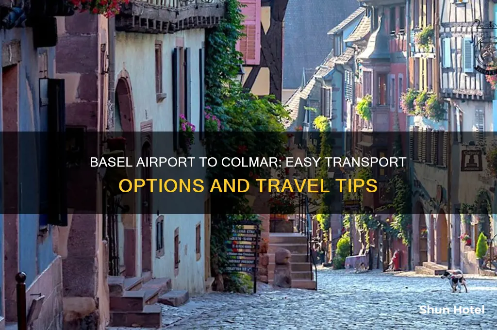 how do i get from basel airport to colmar
