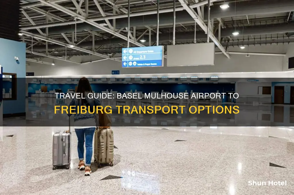 how do i get from basel mulhouse airport to freiburg