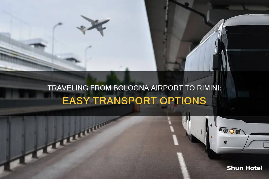how do i get from bologna airport to rimini