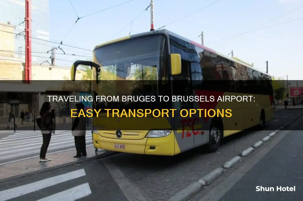 how do i get from bruges to brussels airport