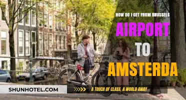 Brussels Airport to Amsterdam: Easy Travel Guide & Transport Options