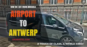 Brussels Airport to Antwerp: Easy Transport Options & Travel Tips