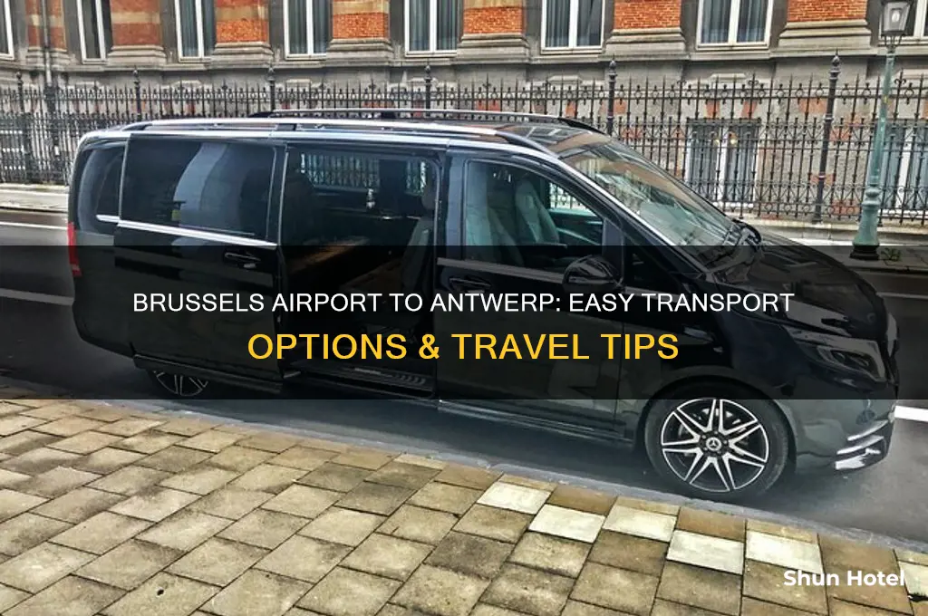 how do i get from brussels airport to antwerp