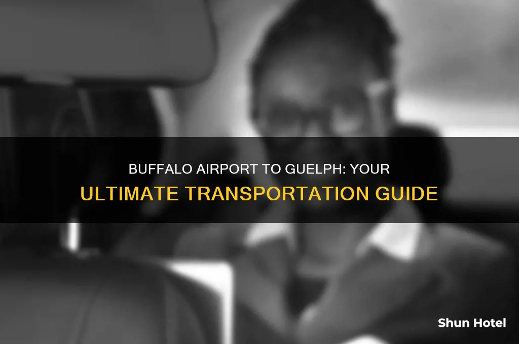 how do i get from buffalo airport to guelph ontario