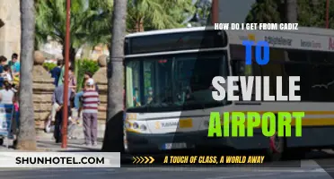 Traveling from Cadiz to Seville Airport: Easy Transport Options