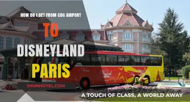 Traveling from CDG Airport to Disneyland Paris: Easy Transport Options