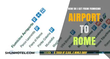 Traveling from Fiumicino Airport to Rome: Easy Transport Options