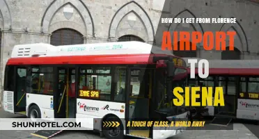 Florence Airport to Siena: Easy Transport Options & Travel Tips