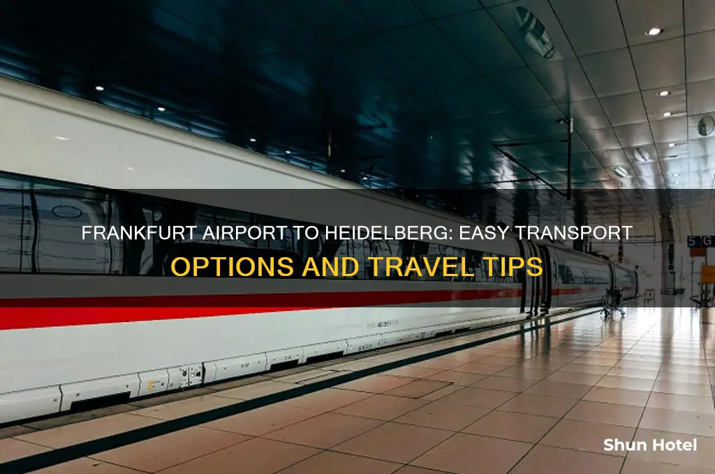 how do i get from frankfurt airport to heidelberg