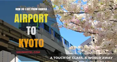 Traveling from Haneda Airport to Kyoto: Easy Transport Options