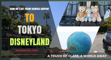 Haneda to Tokyo Disneyland: Easy Transport Options & Tips
