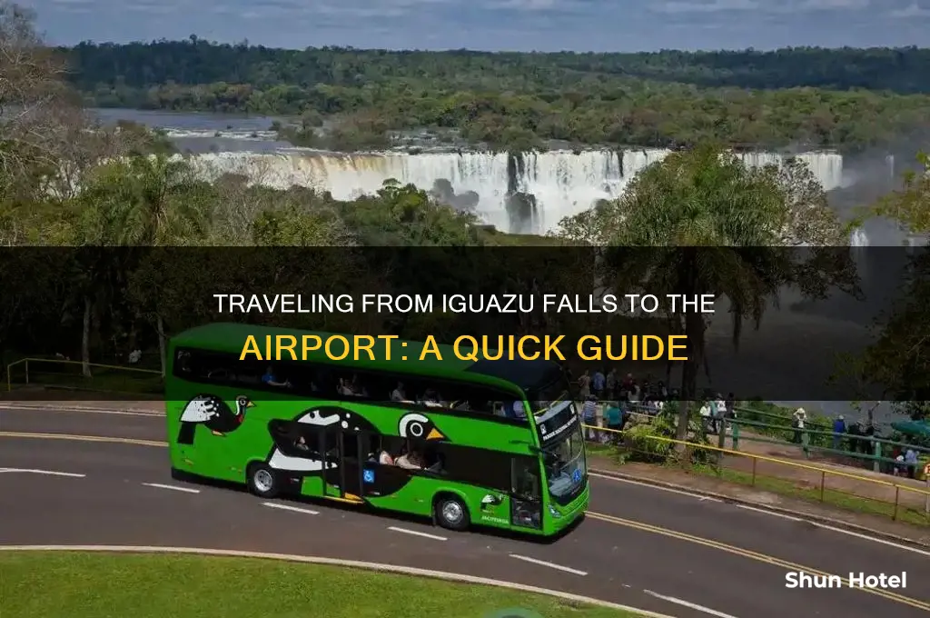 how do i get from iguazu falls to airport