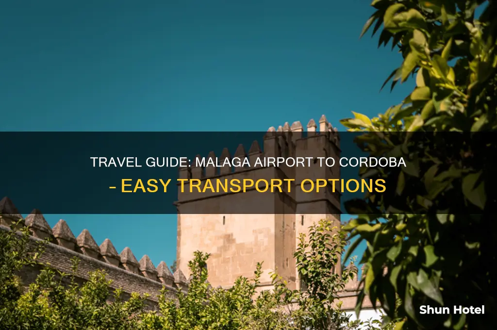 how do i get from malaga airport to cordoba
