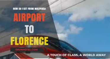 Traveling from Malpensa Airport to Florence: Easy Transport Options
