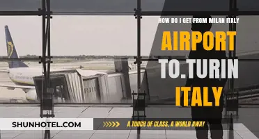 Traveling from Milan Airport to Turin: Easy Transport Options
