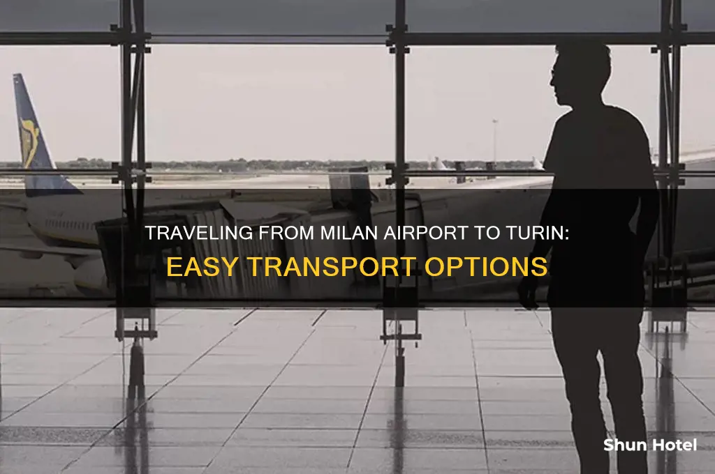 how do i get from milan italy airport to.turin italy