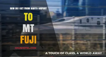 Narita Airport to Mt. Fuji: Easy Transport Options & Travel Tips