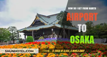 Narita to Osaka: Efficient Travel Options and Tips for Your Journey
