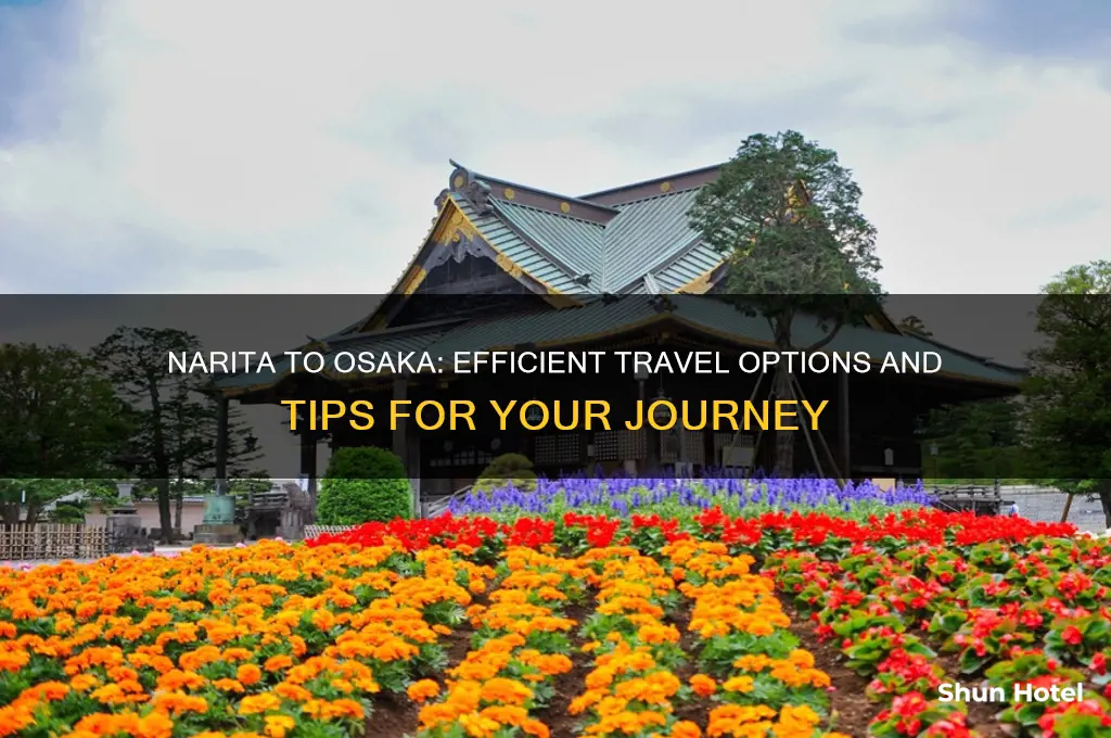how do i get from narita airport to osaka