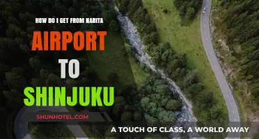 Narita to Shinjuku: Easy Transport Options for Travelers