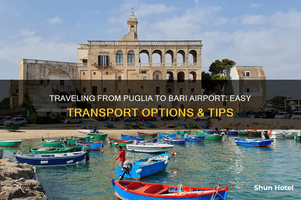 how do i get from puglia to bari airport