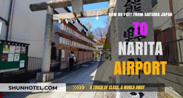 Traveling from Saitama to Narita Airport: A Comprehensive Guide