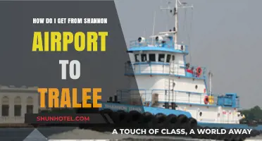 Travel Guide: Shannon Airport to Tralee Transport Options Explained