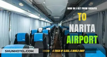 Easiest Ways to Travel from Shibuya to Narita Airport