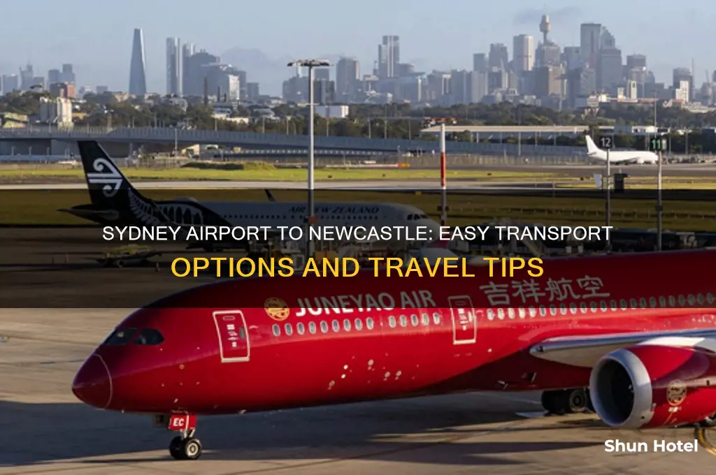 how do i get from sydney airport to newcastle