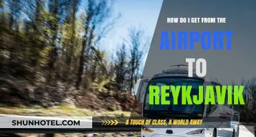 Traveling to Reykjavik: Easy Airport to City Transport Options