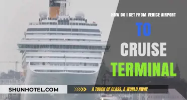 Venice Airport to Cruise Terminal: Easy Transportation Options & Tips