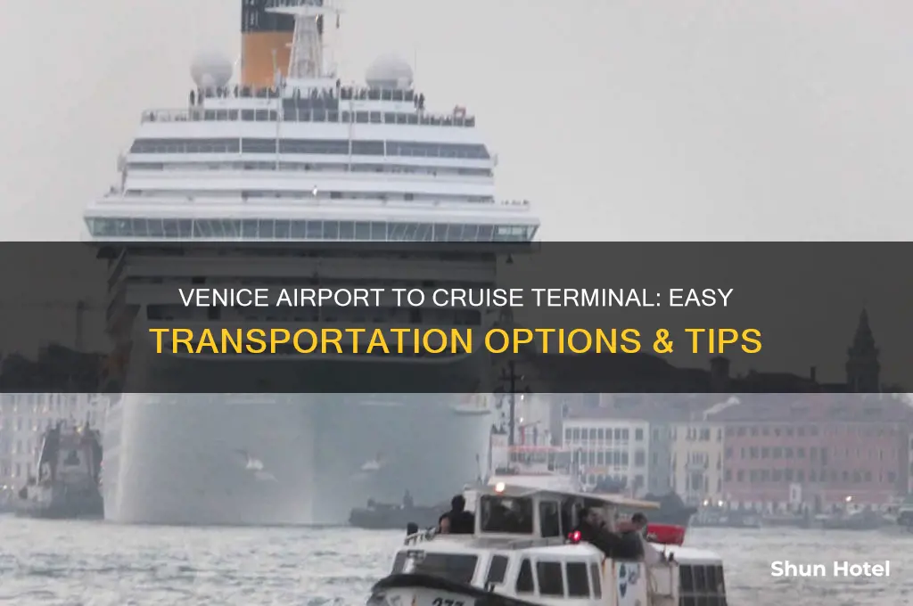 how do i get from venice airport to cruise terminal