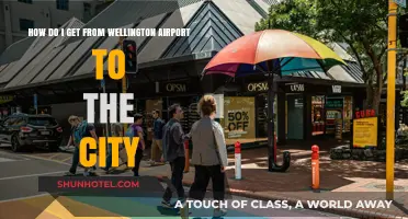 Traveling from Wellington Airport to the City: Easy Transport Options