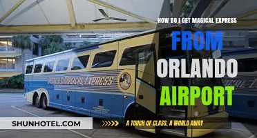 Orlando Airport to Magical Express: Your Seamless Disney Vacation Start