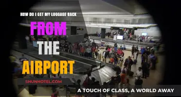 Lost Luggage at the Airport? Here’s How to Get It Back Fast