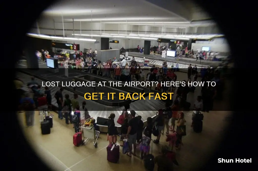 how do i get my luggage back from the airport