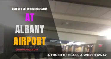 Navigating Albany Airport: A Quick Guide to Baggage Claim Access