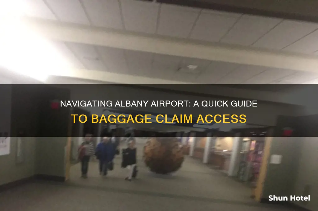 how do i get to baggage claim at albany airport