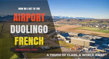 Mastering French Airport Navigation with Duolingo: Your Essential Guide