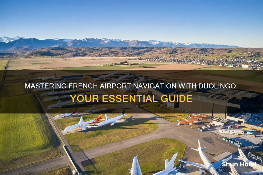 how do i get to the airport duolingo french