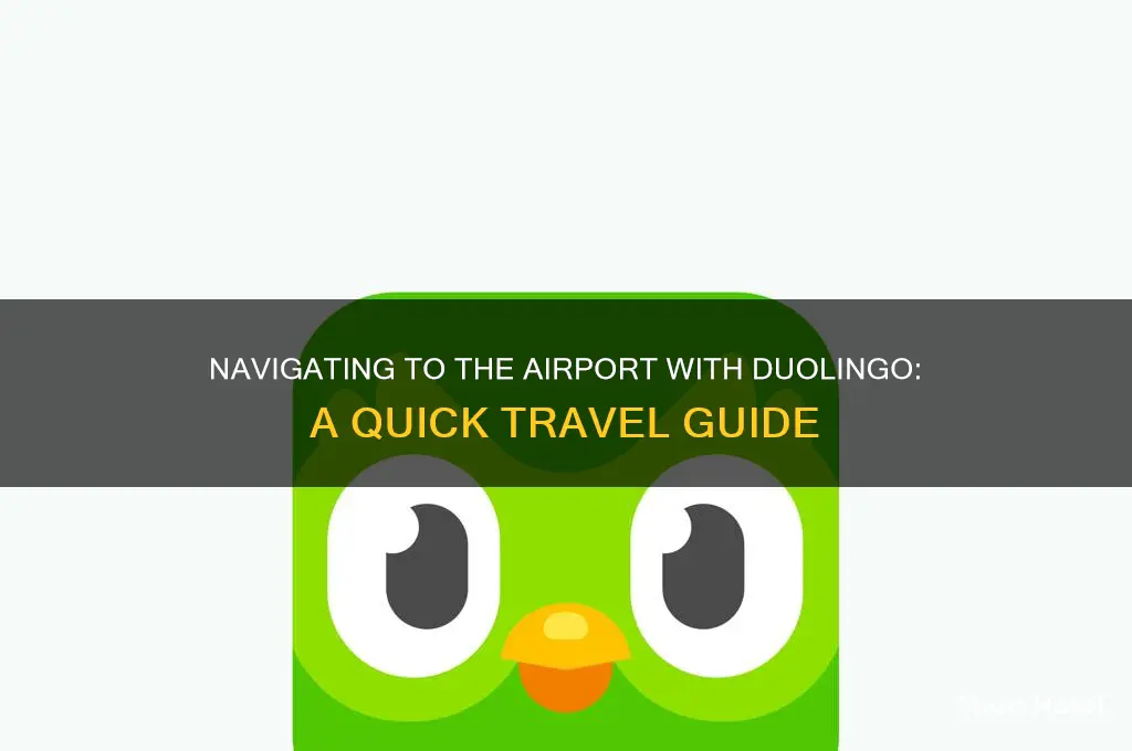 how do i get to the airport duolingo