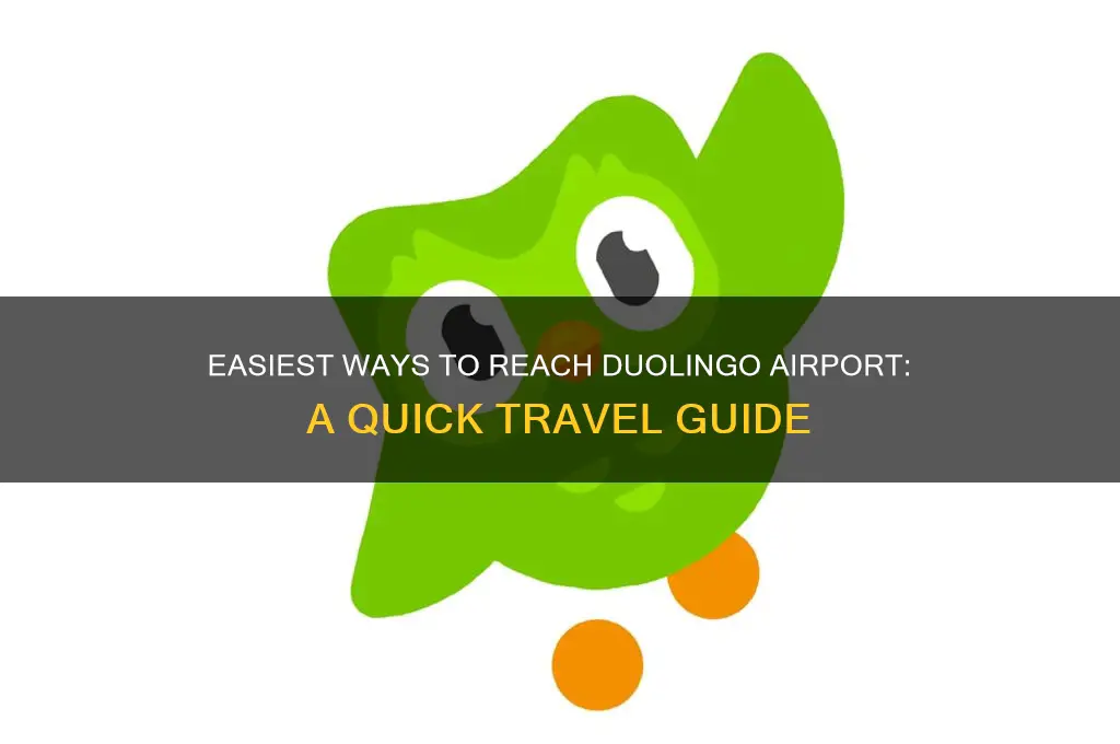 how do i get to the airport duolino