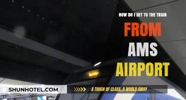 Navigating from Amsterdam Airport to the Train Station: A Quick Guide