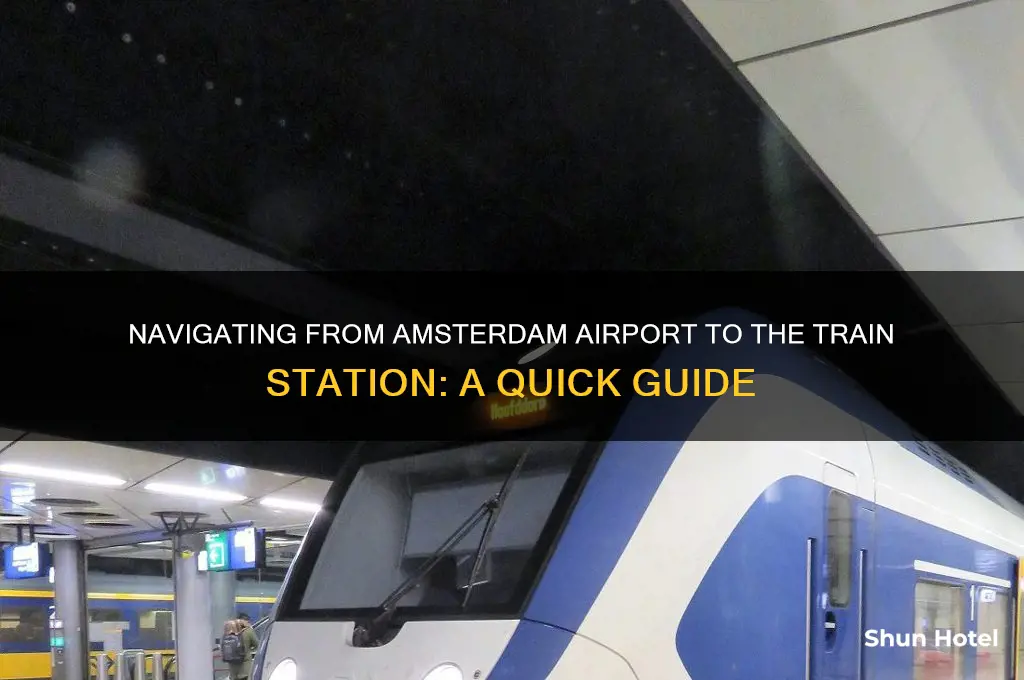 how do i get to the train from ams airport