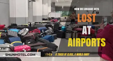 Unraveling the Mystery: How Luggage Gets Lost at Airports