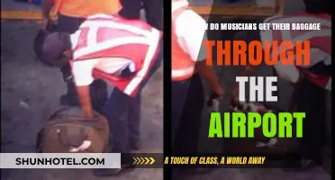 Musicians' Airport Baggage Secrets: Navigating Tours with Gear and Instruments