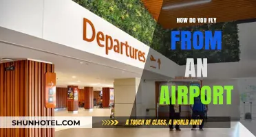 Step-by-Step Guide: Navigating Airport Procedures for a Smooth Flight